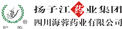开云网页版页面